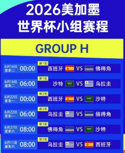 里程碑未来
